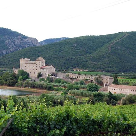 Castell De Riudabella Leilighet Vimbodi I Poblet Eksteriør bilde