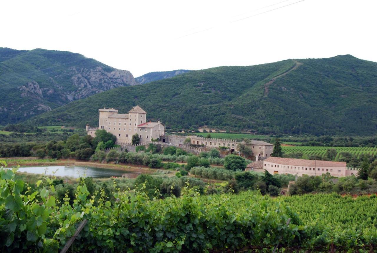 Castell De Riudabella Leilighet Vimbodi I Poblet Eksteriør bilde