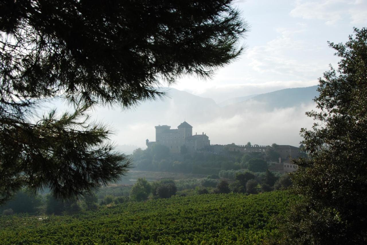 Castell De Riudabella Leilighet Vimbodi I Poblet Eksteriør bilde