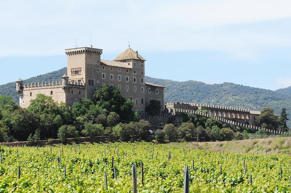 Castell De Riudabella Leilighet Vimbodi I Poblet Eksteriør bilde