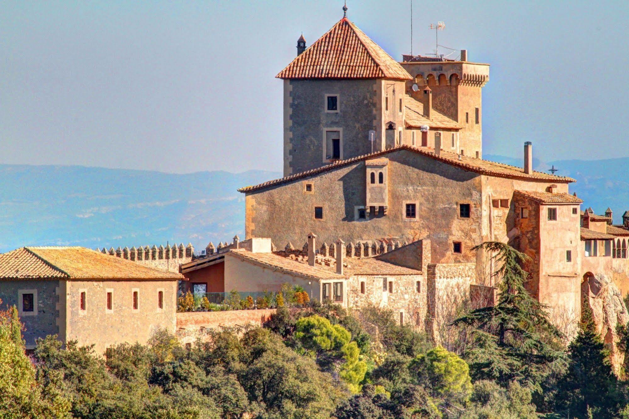 Castell De Riudabella Leilighet Vimbodi I Poblet Eksteriør bilde